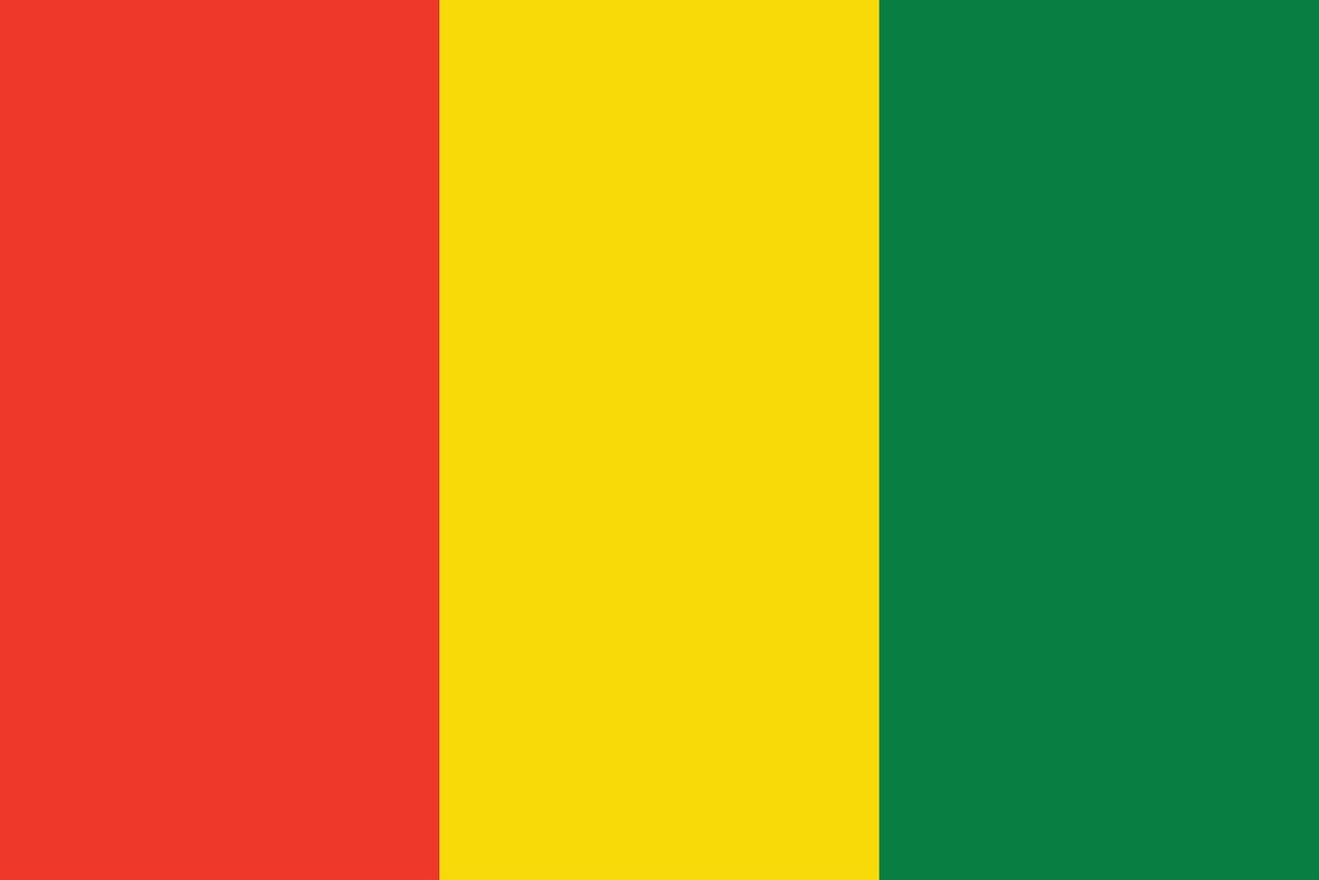 Sticker flag of Guinea 5-60cm Weatherproof ES-FL-GUI