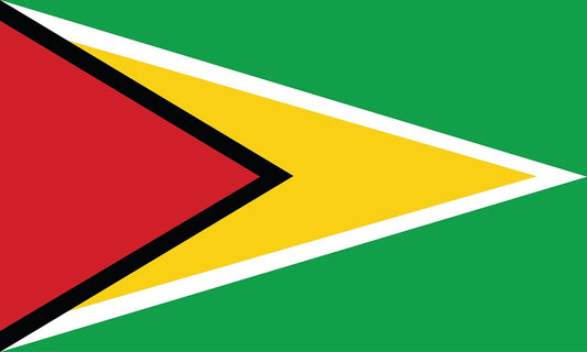 Sticker flag of Guyana 5-60cm Weatherproof ES-FL-GUY