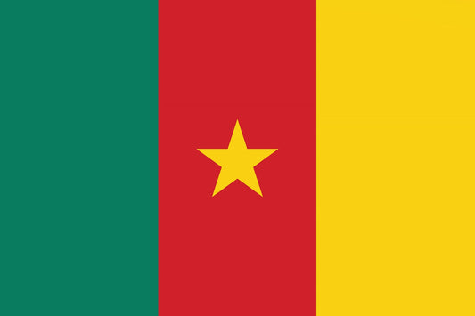 Sticker flag of Cameroon 5-60cm Weatherproof ES-FL-KAM