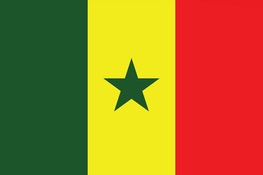 Sticker flag of Senegal 5-60cm Weatherproof ES-FL-SGL