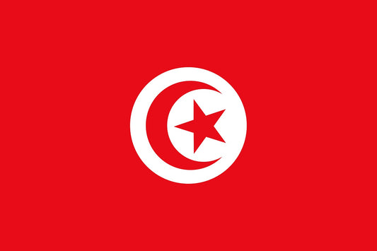 Sticker flag of Tunisia 5-60cm Weatherproof ES-FL-TUN